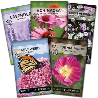 drought tolerant flower seed collection containing 5 drought resistant wildflower varieties