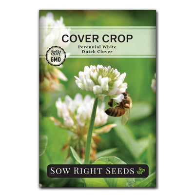 cover crop dutch clover perennial white seeds