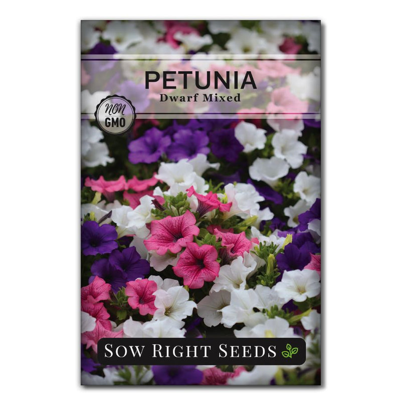 mixed container flower blue pink white purple petunia flower seeds for sale