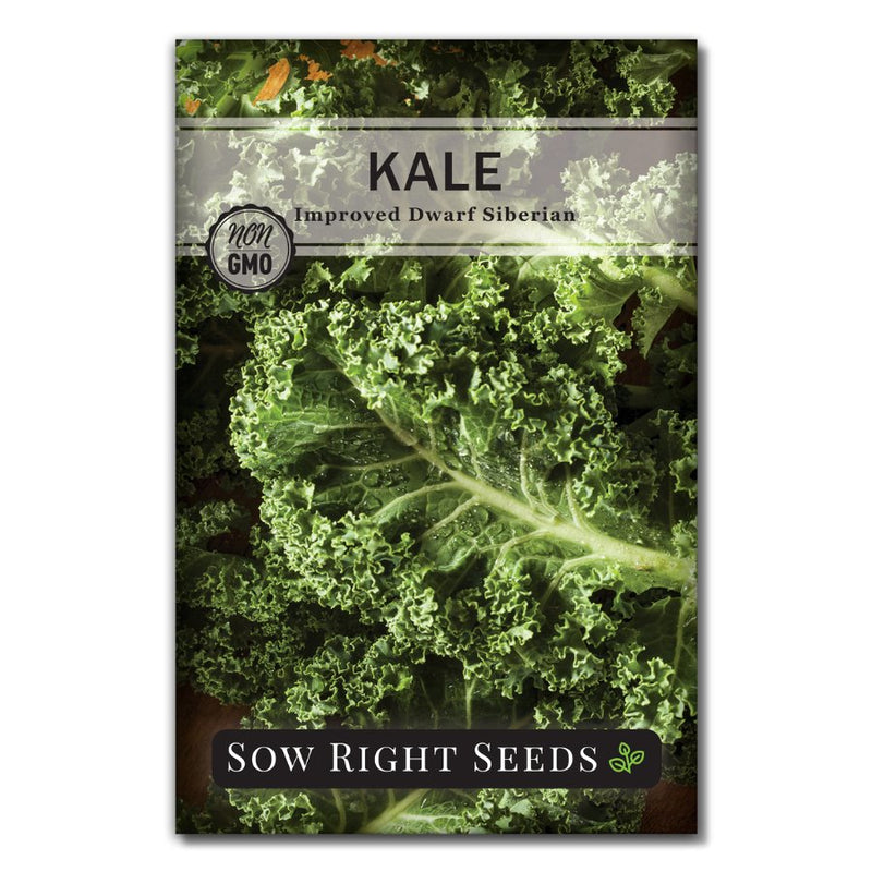 improved dwarf siberian kale seed packet for planting