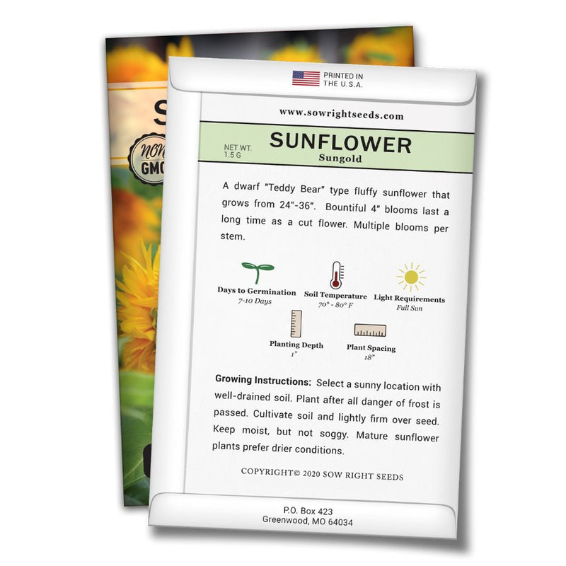 how to grow the best sunflower plants