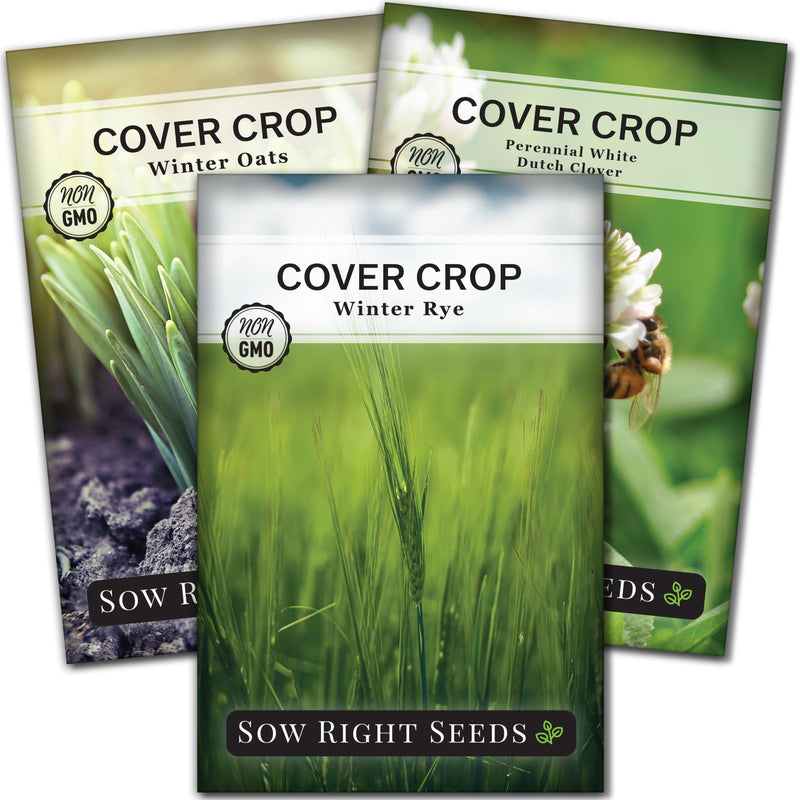 cover crop seed mix 1 collection with 3 varieties for sale