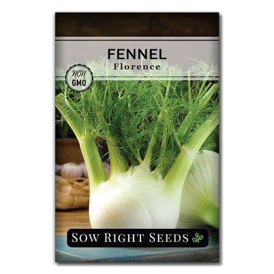 popular culinary herb fennel seeds for sale
