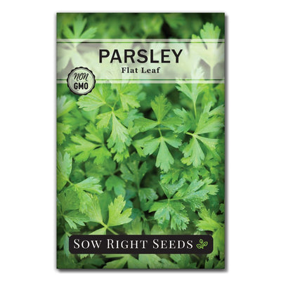 italian culinary herb flat leaf parsley seeds for sale