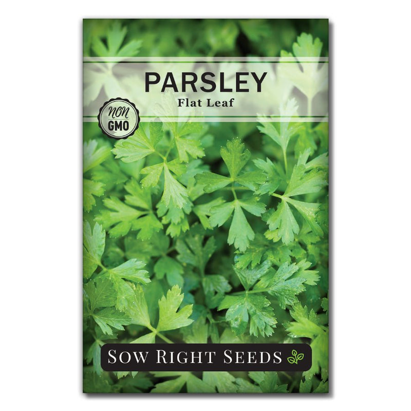 flat leaf italian parsley seed packet for planting