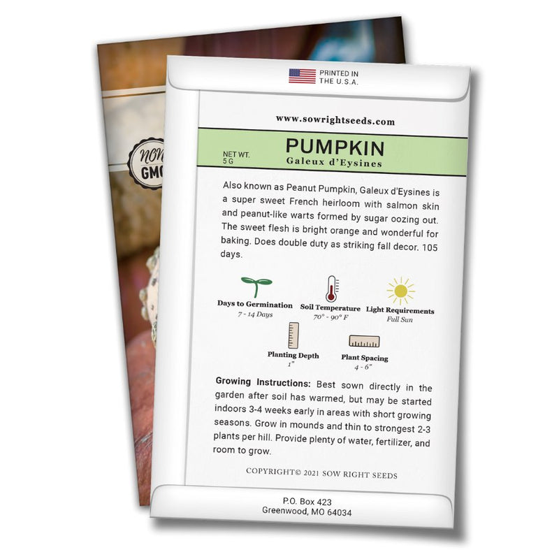how to grow the best galeux pumpkin plants