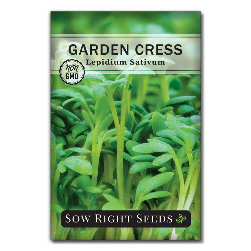 peppery green succulent like cress seeds for sale