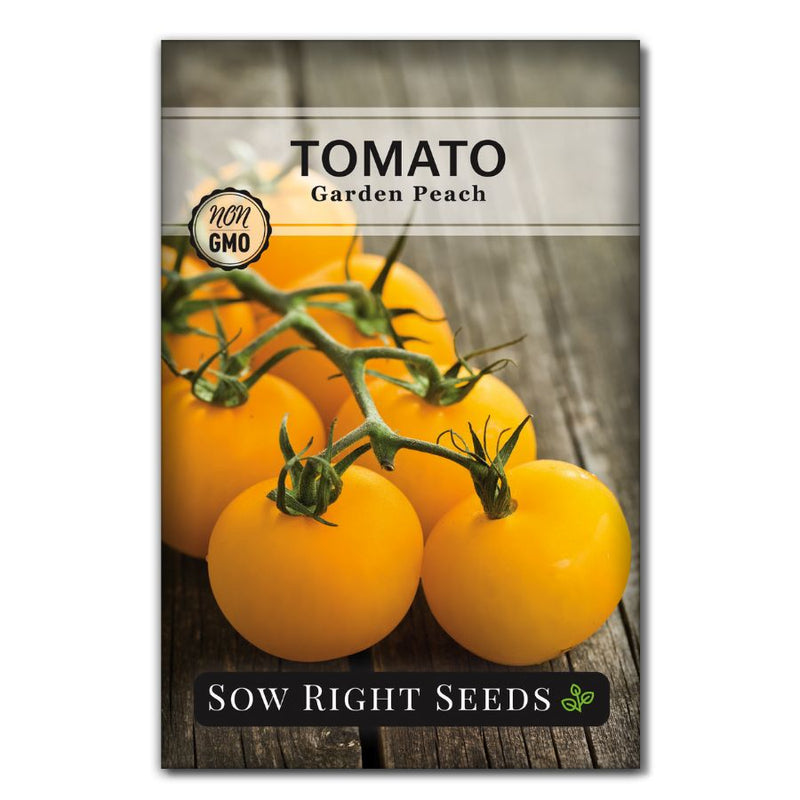 fuzzy small mild garden peach tomato seeds for sale