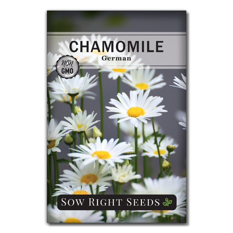 herb german chamomile seeds