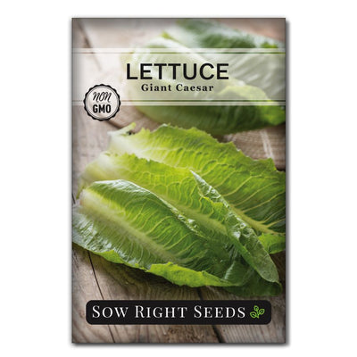 giant butter taste loose lettuce seeds for sale