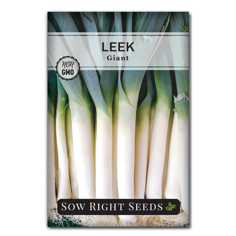 long thin Bulgarian vegetable giant leek seeds for sale