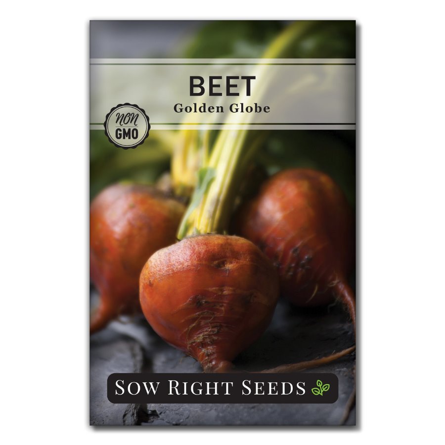 Golden Globe Beet for Planting | Easy to Grow Mild Flavor – Sow Right Seeds