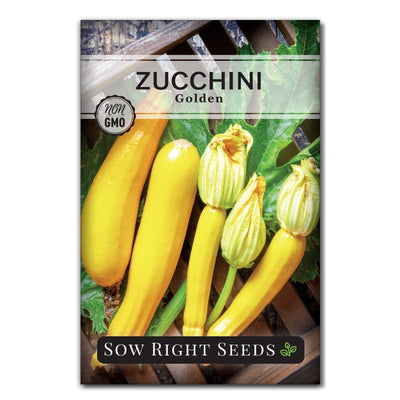 bush long yellow vegetable golden zucchini seeds for sale