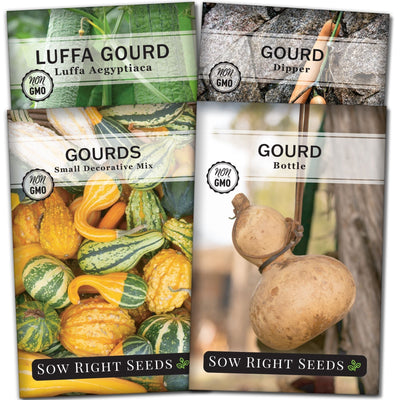 gourd seed packet collection with 4 varieties of seeds for sale