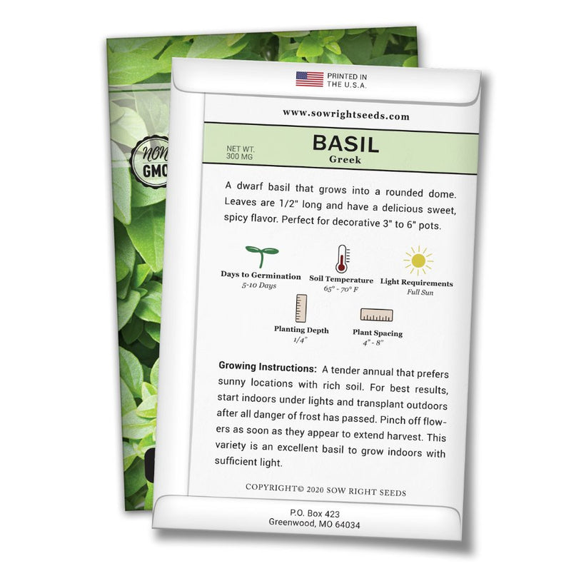 how to grow the best Greek Basil plants