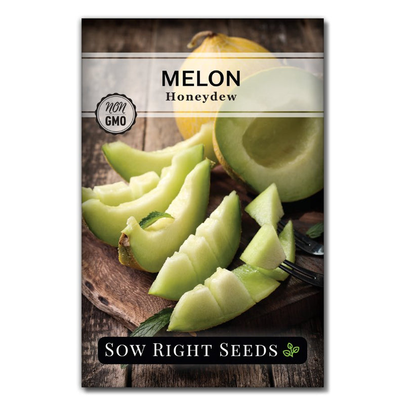 vegetable honeydew melon seeds