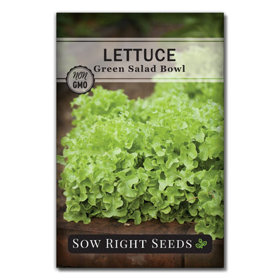 vegetable green salad bowl lettuce seeds