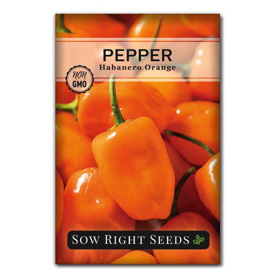 bright orange extra spicy habanero pepper