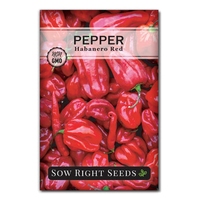 red habanero spicy pepper seed packet