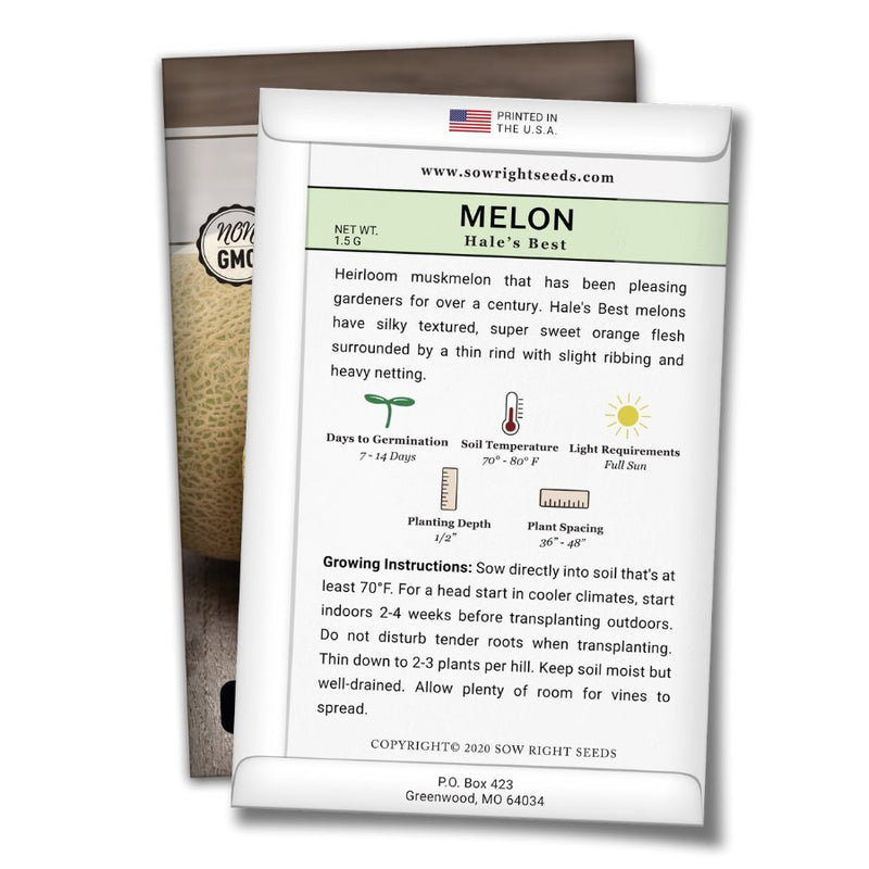 how to grow the best hales best melon plants