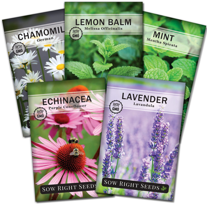 Herbal Tea Garden seed collection with 5 varieites for sale