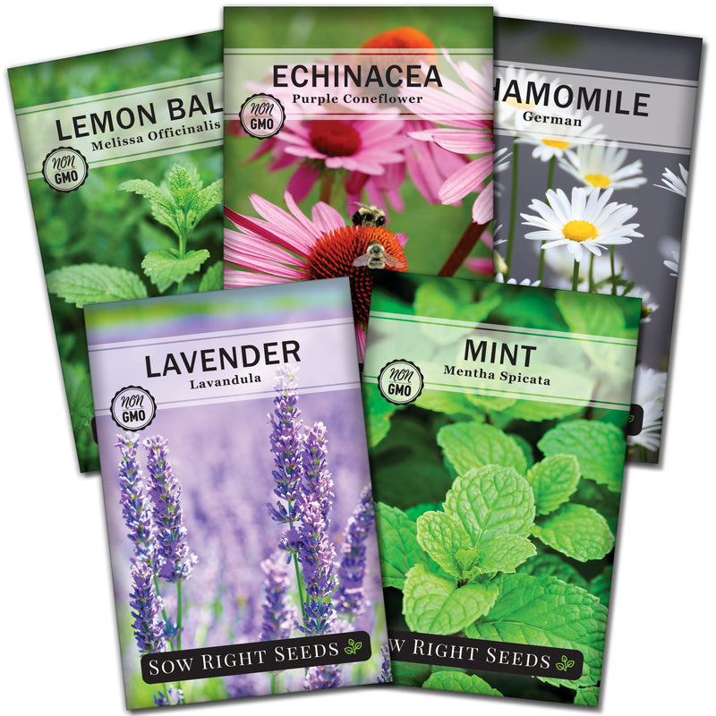 herbal tea collection containing 5 seed packets chamomile lavender mint echinacea and lemon balm