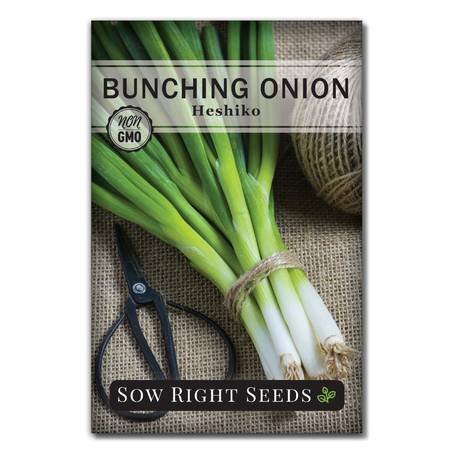 Heshiko Japanese Bunching Onion for Planting | Spring Green Onion – Sow ...