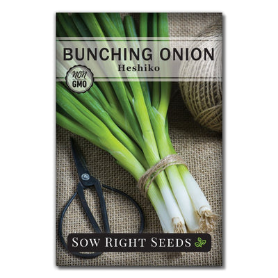 bulbless green spring onion seeds