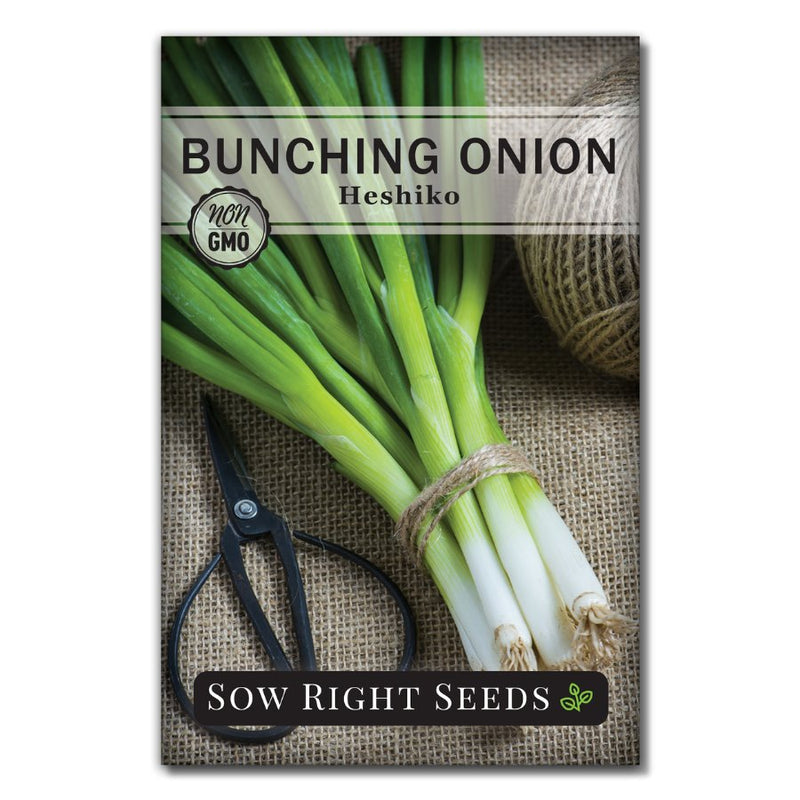 green spring onions scallions welsh vegetable heshiko bunching onion seeds for sale