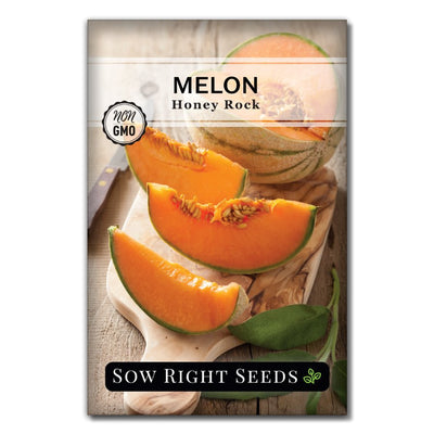 cantaloupe orange vegetable honey rock melon seeds for sale