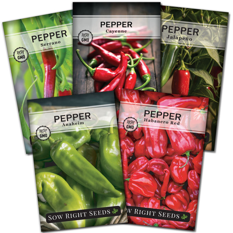 hot pepper seed packet collection with 5 varieties of seeds for sale