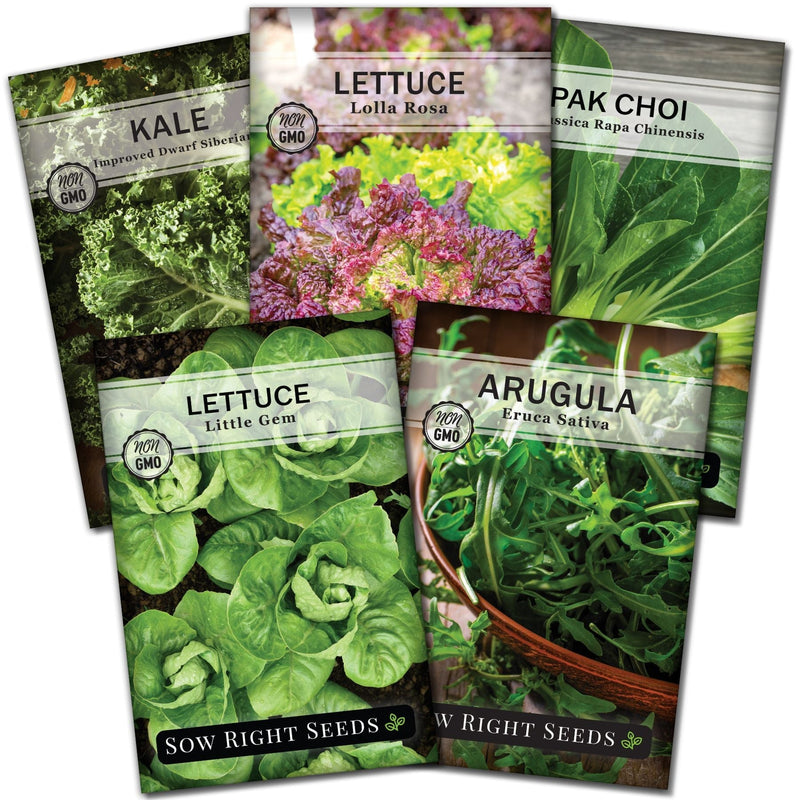 hydroponic vegetable greens seed collection containing 5 varieties for sale