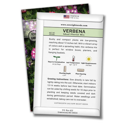 how to grow the best verbena plants
