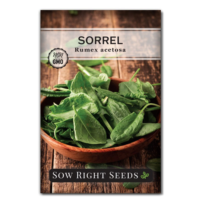 garden sorrel seeds Sow Right Seeds - Sorrel Seed for Planting - Culinary Herb to Plant in Your Home Herb Garden - Indoors or Outdoors