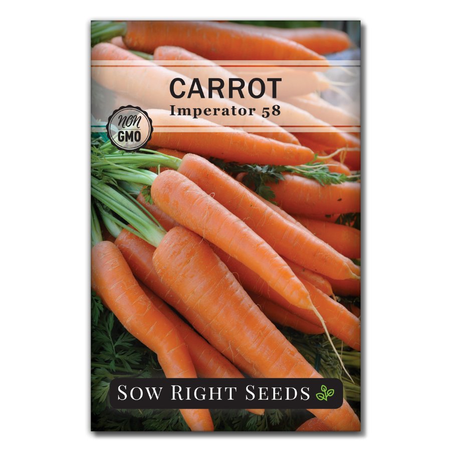 Imperator 58 Carrot | Easy to Grow Market or Home Garden Carrot – Sow ...