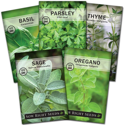 Italian herb garden seed packets with 5 varieties for sale