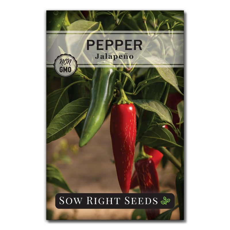vegetable jalapeno pepper seeds