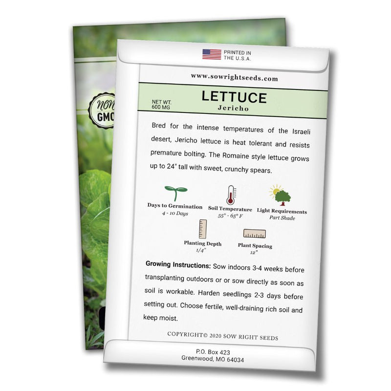 how to grow the best jericho lettuce plants