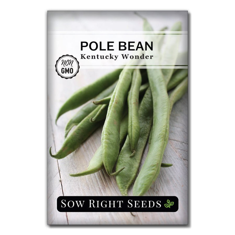 vegetable kentucky wonder pole bean seeds