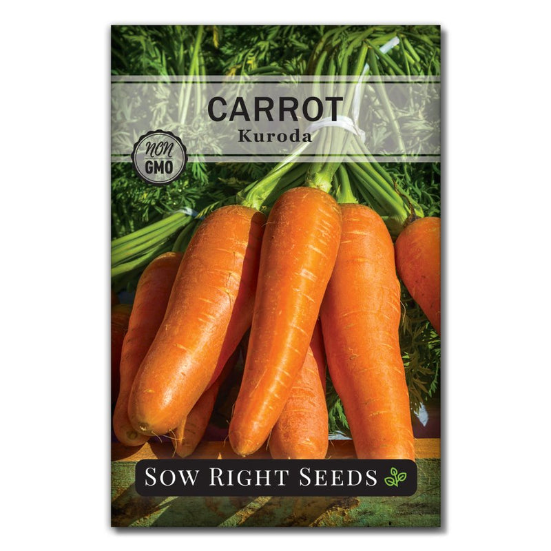 asain bright versatile vegetable kuroda carrot seeds for sale