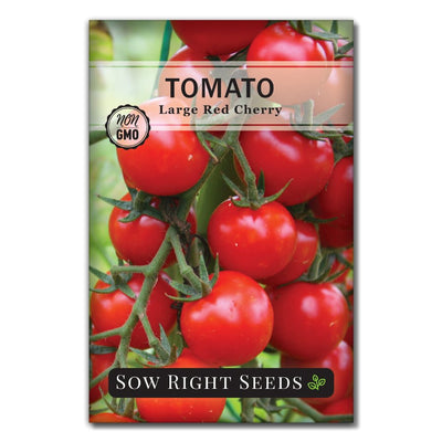 vegetable large red cherry tomato seeds