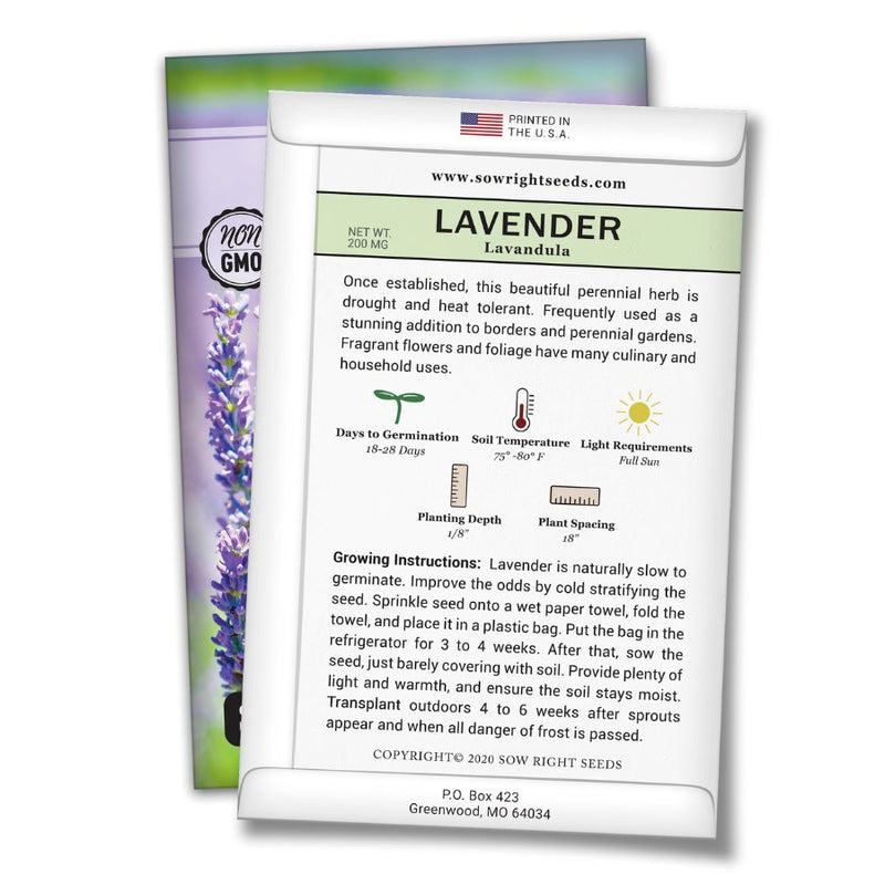 how to grow lavender plants