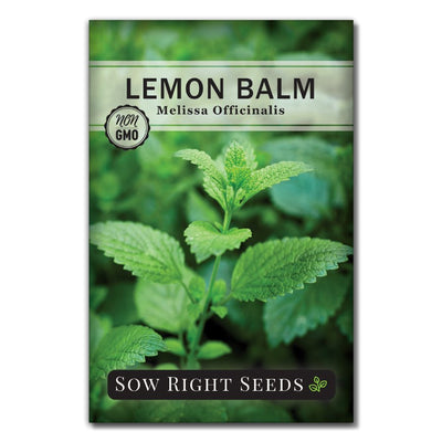 medicinal and citrus tasting herb lemon balm seeds for sale