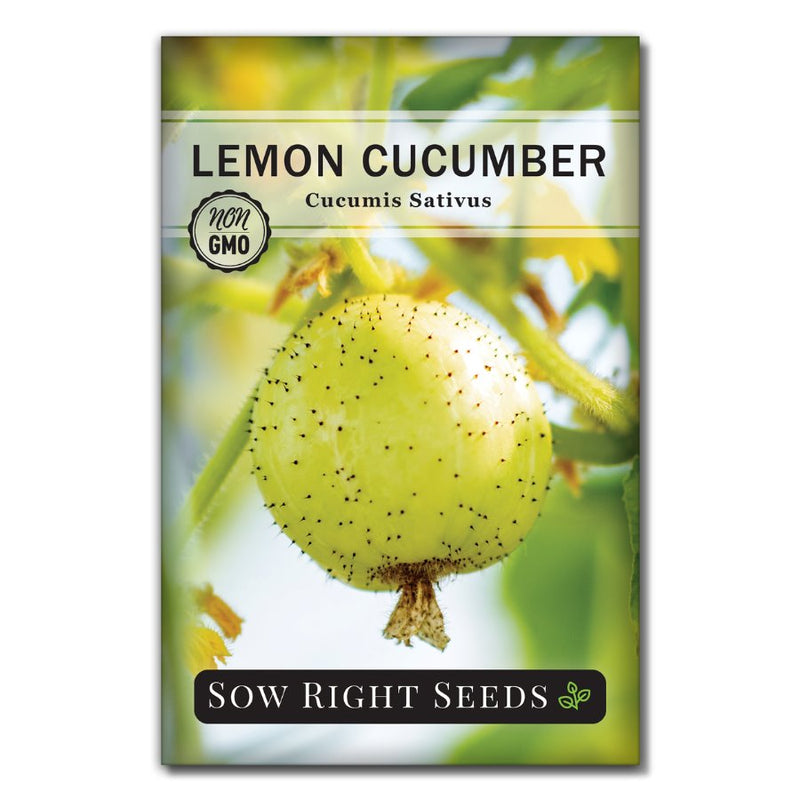 vegetable lemon cucumber seeds
