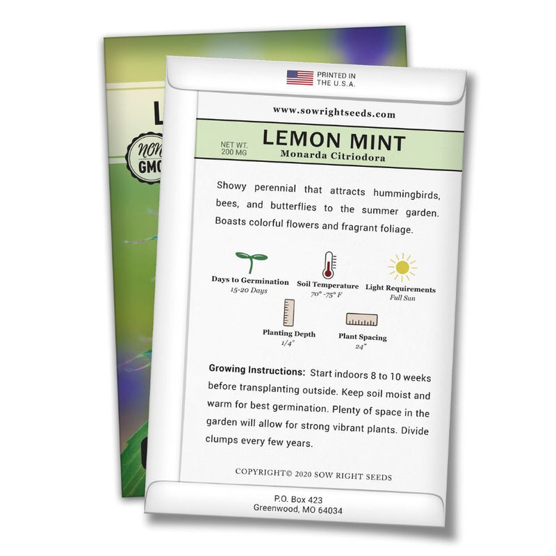how to grow the best lemon mint plants