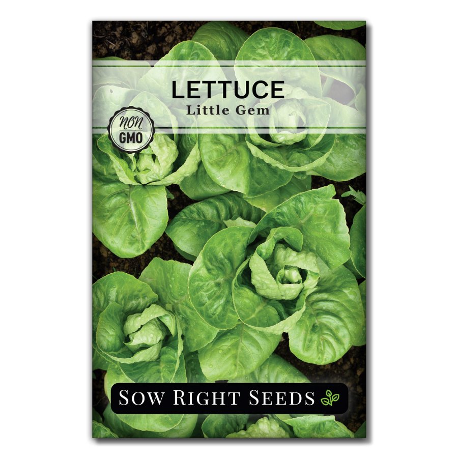 Sow Right Seeds Little Gem Lettuce