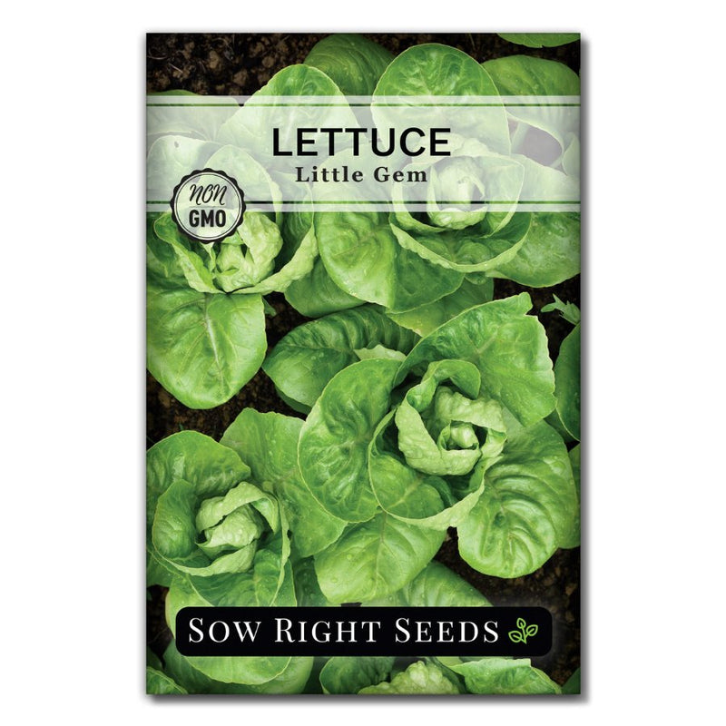 little gem lettuce greens seed packet for planting