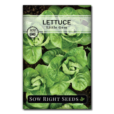 blanched thick heart vegetable little gem lettuce seeds for sale