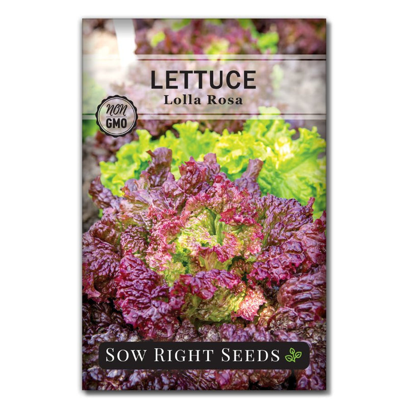 purple and green lettuce seed packet