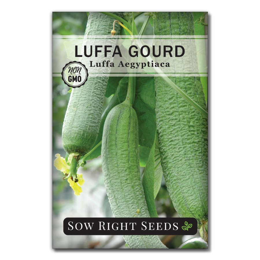 Sow Right Seeds Luffa Gourd Seeds